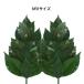 �v���U�[�u�h�� MV�T�C�Y FS-011ML(�� �T�J�L �͂�Ȃ� ������� �ȒP ���s�v ���A�� ���� �c�� ���Y ���{�� �֍�) 1-2W