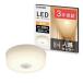 Ψǥ륢ꥹ LED󥰥饤  ʹ󥵡 ŵ忧 600lm ʪ ϭ SCL6L-MS-H