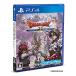  Dragon Quest X.... . женщина .... бог online - PS4