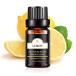 Poven  å󥷥륪 ŷ100  ʥ ޥ ޥǥե塼 10ml Lemon Es