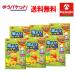 ゆうパケットで 送料無料 6個セット アース製薬 虫よけパッチα シールタイプ 大容量 72枚入り×6個 虫よけシール パッチアルファお子様