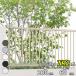 �t�F���X �ډB�� LIXIL �t�F���XAB TR2�^ T-6 H600 ����60cm �{�̂̂� �w���N�V�� ���� �i�q ���O �A���~ �� diy ������� �� �� ���悯 ���E �O�\ �K�[�f���x