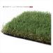  юридическое лицо sama ограничение on Lee one искусственный газон модель 210 Pro брезент новый Maximum AN2-M2021 2m×10m настоящий газонная трава сырой roll 