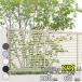 �t�F���X �ډB�� LIXIL �t�F���XAB YR1�^ T-6 H600 ����60cm �{�̂̂� �w���N�V�� �� �i�q ���O �A���~ �� diy ������� �� �� ���悯 ���E �O�\ �K�[�f���x