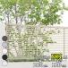 �t�F���X �ډB�� LIXIL �t�F���XAB YR1�^ T-12 H1200 ����120cm �{�̂̂� �w���N�V�� �� �i�q ���O �A���~ �� diy ������� �� �� ���悯 ���E �O�\ �K�[�f���x