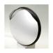  доверие . предмет производство нержавеющая сталь зеркало круглый 433 диаметр #S-4BR чай 