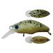  Smith Dan go oDR-Low 04glasi-