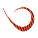  Jackal ведро ведро шар T+ галстук тормозные колодки машина Lee strong # яркий orange Zebra 