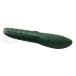 teps покрытие s кошка #121. Gin go ROME 3.5inch
