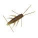  Daiwa STZbla-mo1.7 summer Claw 