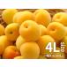 .. юг высота слива 4L размер 2kg Wakayama префектура производство маринованные сливы . для 