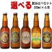 nagisa beer pale e-ru american we toIPA Golden e-ru mandarin orange e-ru330ml total 6ps.@ is possible to choose .. comparing craft beer Wakayama prefecture 