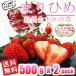  ܂Ђ a̎RIWii 傫߃TCYE`s 500g(8) x 2pbN  TVłЉꂽ̃C`S Gi C`S 