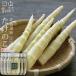  bamboo shoots 200g×5 pcs set [ Hokkaido production ] mountain . day peace kind .., crisp. meal feeling rice. .. sake. . also [ mail service correspondence ]