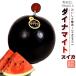  Dyna мой to арбуз ( превосходящий товар 2L 6kg и больше ) Hokkaido месяц форма блок Special производство ... чёрная кожа арбуз бесплатная доставка 