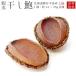  Hokkaido Япония море производство .. высушенный .2 шт [1 шт на 14g~25g. ezo высушенный морское ушко ]...... сильный ... сухой .[ почтовая доставка соответствует ]