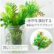 �y�H��L�b�g�z �čՂ�X�m�[�h�[���I����L�b�g �ċx�� ���R���� ���w�� ��w�N  ���w�N �a�����@�M�t�g ���w�� �j�̎q ���̎q �֘A�摜5