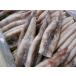 ( business use large amount *. bargain )( free shipping ) domestic production ......7.5kg rom and rear (before and after) (60~80 tail )(E) north . direct sale * squid *..*