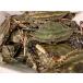  Hokkaido производство сырой wataligani( женский )( вне . имеется )2kg передний и задний (до и после) (5 хвост передний и задний (до и после) )(B) север . прямые продажи * краб * краб *.( наложенный платеж не возможно )