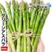 aspala предварительный заказ скидка за ранний заказ Hokkaido производство зеленый спаржа 800g L~2L размер .. Tokachi производство . покупка бесплатная доставка указанный день не возможно включение в покупку не возможно. . не возможно 