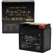 �o�C�N�p�o�b�e���[�@GOLD Motorcycle Battery (��Ȍ݊��o�b�e���[�FYTZ7S/YTZ6/FTZ7S/TTZ7SL)) �t���[�d��
