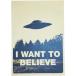  постер я доверие . хочет I Want to Believe X- файл X-FILES UFO MI17