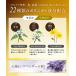 �����B�� ������ �������� �Y�a�� �X�e�B�b�N �������� �ȒP ���������� ���� kiwabi ROOT VANISH �֘A�摜5