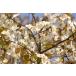 [10 шт. комплект ]yama The kla( гора Sakura ) саженец 30~50cm передний и задний (до и после) 
