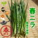  spring garlic chive cultivation period middle pesticide un- use 1 bundle approximately 150g