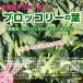  брокколи. лист культивирование период средний пестициды ..( низкий пестициды ) примерно 200g