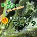  стебель брокколи aletta культивирование период средний пестициды не использование 1 пакет 