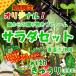  поле c подарок .. ферма оригинал салат комплект with огурец культивирование период средний пестициды не использование 1 пакет! * огурец. пестициды .1 раз только ... делаем ( низкий пестициды )