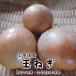  Hokkaido production sphere leek ( onion ) pesticide un- use * chemistry fertilizer un- use approximately 500g!