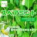  запасной мята * пестициды . химия удобрение. используя не Saitama префектура производство 1 пакет примерно 20g! * это вид не, сырой. запасной мята будет.