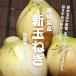  Nagasaki префектура производство новый шар лук порей нет пестициды * нет химия удобрение примерно 500g(M~L размер )NewOnion(No pesticides No chemical fertilizer)