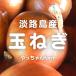 [ жара . время. обычная температура рейс рассылка OK!] Awaji Island производство шар лук порей .. Chan farm 1 пакет примерно 500g(L~2L размер )