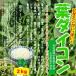 [* совместно пакет .. сделаю ] лист дайкон ( лист дайкон, большой корнеплоды ) культивирование период средний пестициды не использование * химия удобрение не использование Saitama префектура производство 2kg{ коробка продажа }