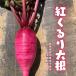 . Quruli daikon radish * pesticide . chemistry fertilizer is use do not do Saitama prefecture production 1 piece ( or small. 2 piece )* middle is winter in comparison with little light . color becomes.