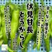 . видеть . длина перец стручковый (. видеть перец стручковый ) * пестициды . химия удобрение. использование не делаем Saitama префектура производство примерно 100g [ жара . время. обычная температура рейс рассылка OK!]