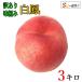 8 month on .~ middle . white . peach with translation . pesticide Nagano prefecture production 3 kilo 