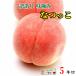  with translation .... peach . pesticide Nagano prefecture production 5 kilo 