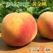 8 month middle .~ last third with translation yellow gold peach Nagano prefecture production 3 kilo 