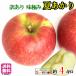 8 month on .~ middle . summer ... with translation apple . pesticide Nagano prefecture production 4 kilo 