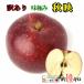 9 month last third ~10 month on . autumn . apple with translation . pesticide Nagano prefecture production 10 kilo 