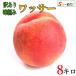 wasa- peach with translation . pesticide Nagano prefecture production 8 kilo 