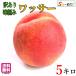 wasa- peach with translation . pesticide Nagano prefecture production 4 kilo 