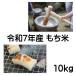  glutinous rice . peace 5 year production Gifu prefecture production mochi . paste 10kg mochi rice white rice 