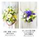���~ ���� �� ���� ���� �t�����[�A�����W�����g �t�����[�M�t�g ������ ������ ���� ������ ���ފ� ������ Tender Feeling a-s ���� �֘A�摜1