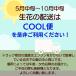 ���~ ���� ������ ���� �ԑ� �a�َq ���і�  �M�t�g �A�����W�����g ���� ������� ������ ������ �M�t�g �Y�� ���O   ���� �֘A�摜2