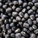 ulado бобы кожа имеется 500g пачка рейс Urad Dal Wholeulado Dahl нет ru red beans сухая фасоль 